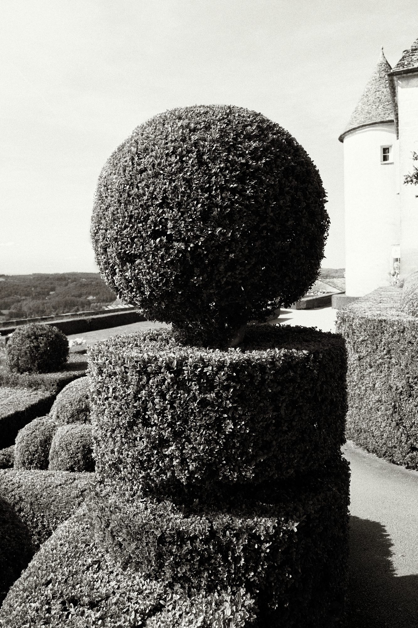 French Garden — 06