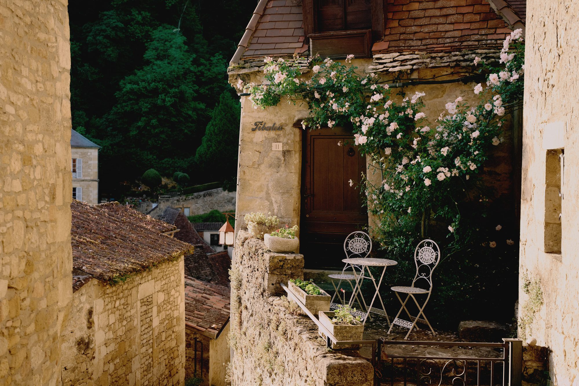 French Garden — 11