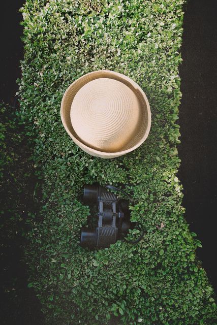 French Garden